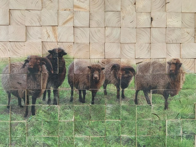 schapen op houten blokjes